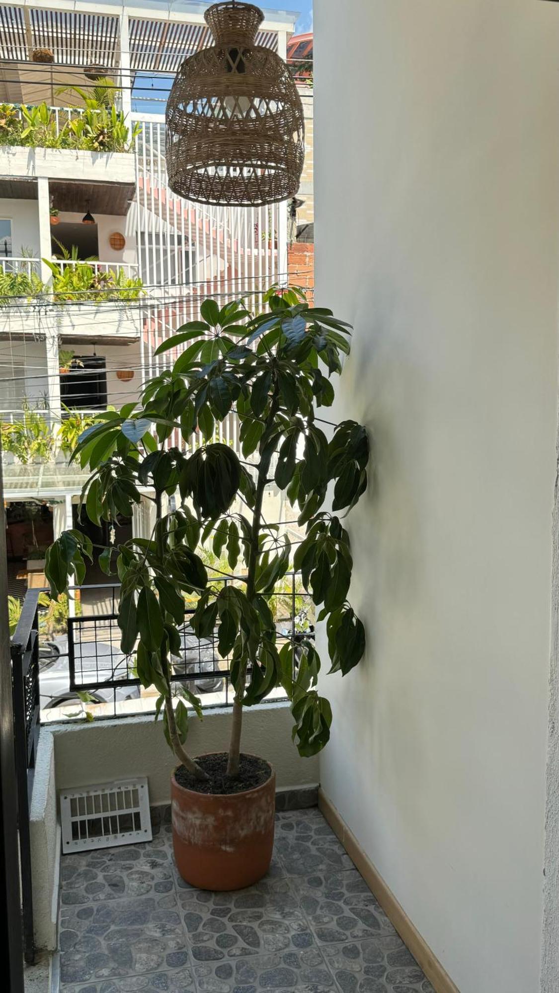 Luum Casa Hotel Manila Medellín Exterior foto